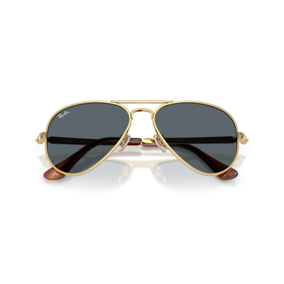 Ray-Ban RB 3925 001/R5 Güneş Gözlüğü, Ekartman: 62
