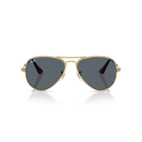 Ray-Ban RB 3925 001/R5 Güneş Gözlüğü, Ekartman: 62
