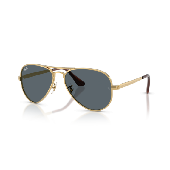 Ray-Ban RB 3925 001/R5 Güneş Gözlüğü, Ekartman: 62