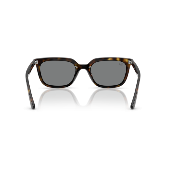 Ray-Ban RB 4439D 710/87 Güneş Gözlüğü