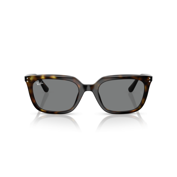 Ray-Ban RB 4439D 710/87 Güneş Gözlüğü