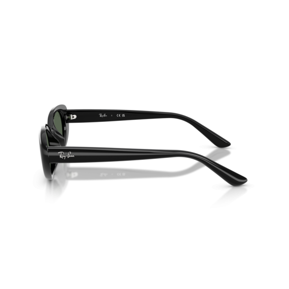 Ray-Ban RB 4441D 667771 Güneş Gözlüğü