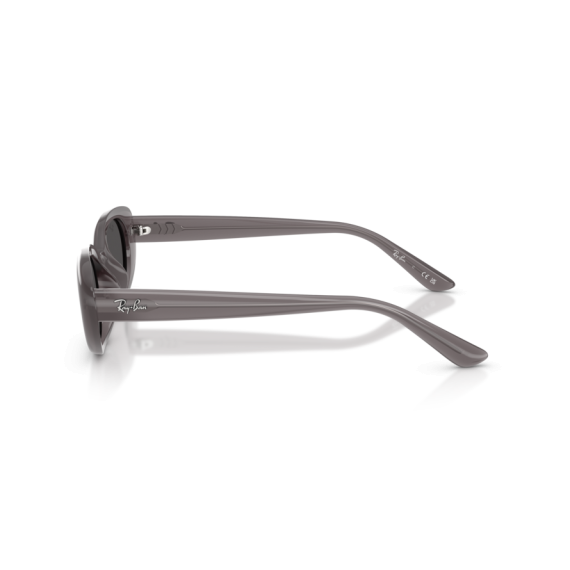 Ray-Ban RB 4441D 677787 Güneş Gözlüğü