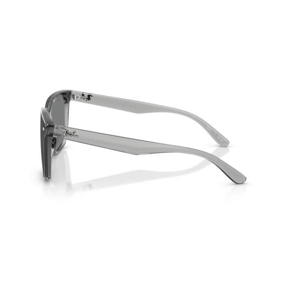 Ray-Ban RB 4466D 645087 Güneş Gözlüğü