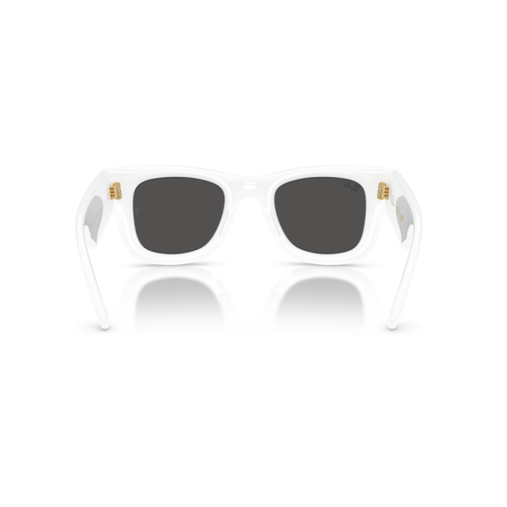 Ray-Ban RB 4940 671/87 Güneş Gözlüğü
