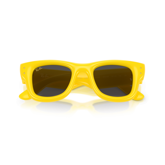 Ray-Ban RB 4940 683087 Güneş Gözlüğü