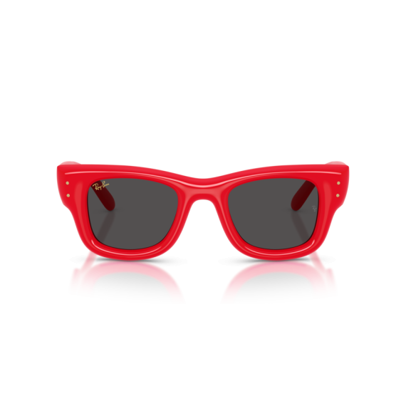 Ray-Ban RB 4940 683187 Güneş Gözlüğü