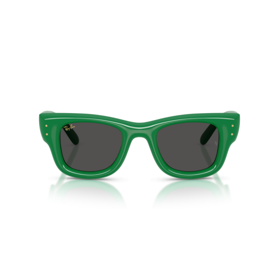 Ray-Ban RB 4940 683487 Güneş Gözlüğü