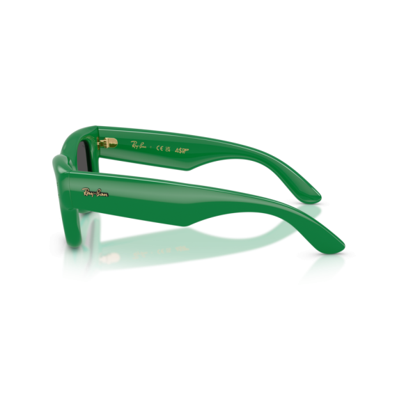 Ray-Ban RB 4940 683487 Güneş Gözlüğü