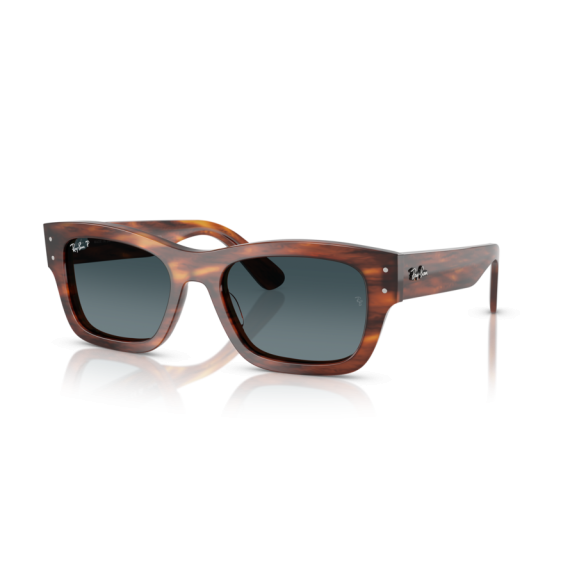 Ray-Ban RB 7683S 954/S3 Güneş Gözlüğü