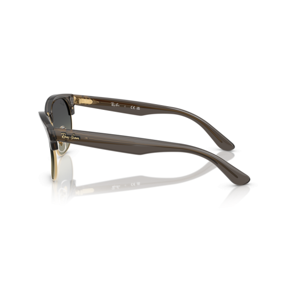 Ray-Ban RB R0504S 682911 Güneş Gözlüğü
