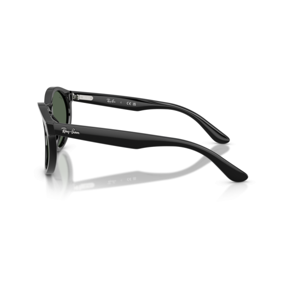 Ray-Ban RB R0505S 6677VR Güneş Gözlüğü