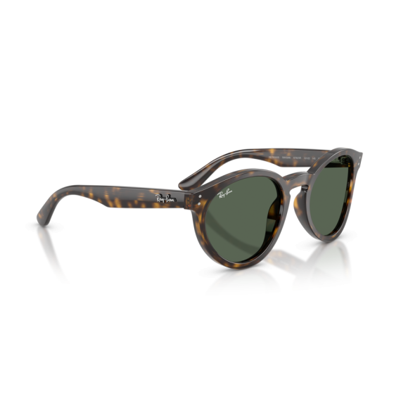 Ray-Ban RB R0505S 6790VR Güneş Gözlüğü