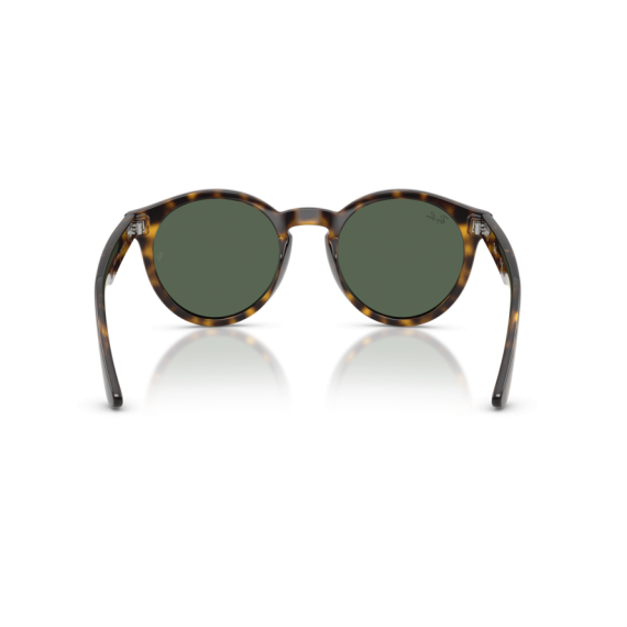 Ray-Ban RB R0505S 6790VR Güneş Gözlüğü