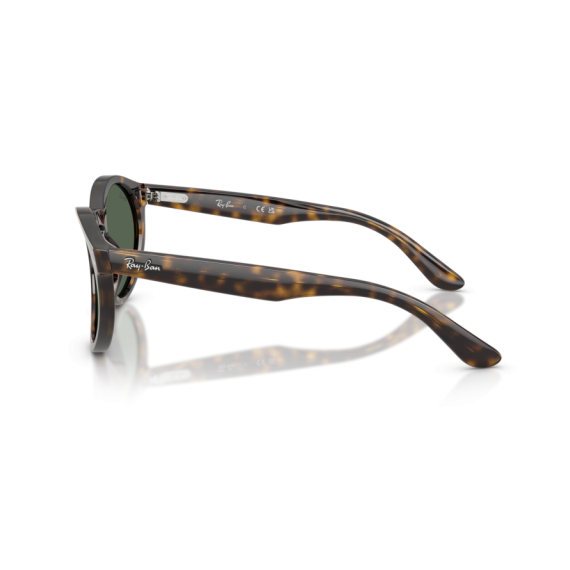 Ray-Ban RB R0505S 6790VR Güneş Gözlüğü