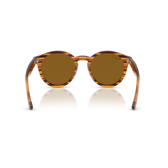 Ray-Ban RB R0505S 679183 Güneş Gözlüğü