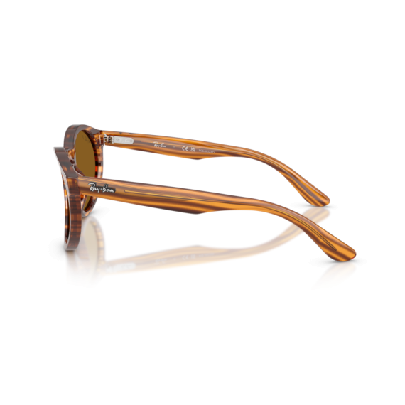 Ray-Ban RB R0505S 679183 Güneş Gözlüğü