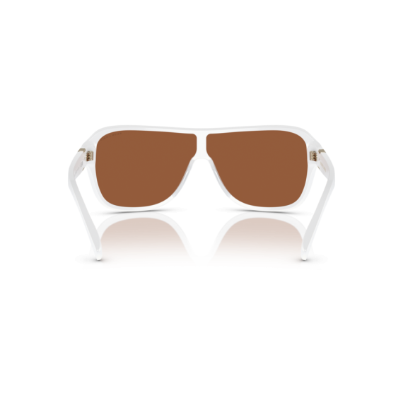 Ralph Lauren RL 8214U 605573 Güneş Gözlüğü