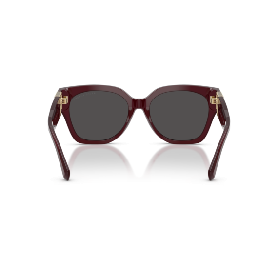 Ralph Lauren RL 8221 508387 Güneş Gözlüğü