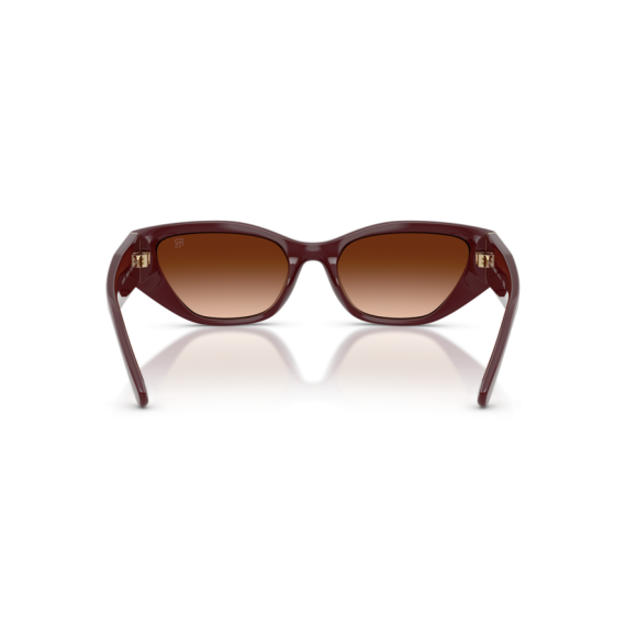 Ralph Lauren RL 8231U 551674 Güneş Gözlüğü