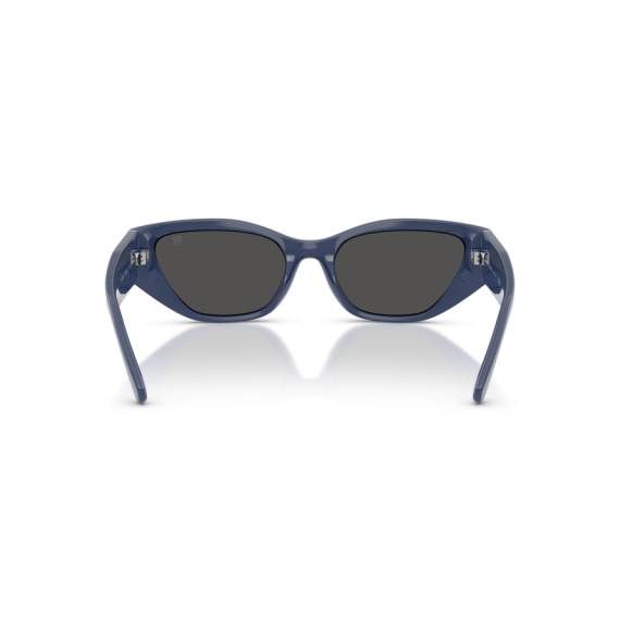 Ralph Lauren RL 8231U 628087 Güneş Gözlüğü
