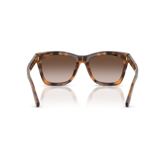 Ralph Lauren RL 8235U 608913 Güneş Gözlüğü