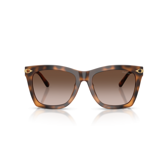 Ralph Lauren RL 8235U 608913 Güneş Gözlüğü