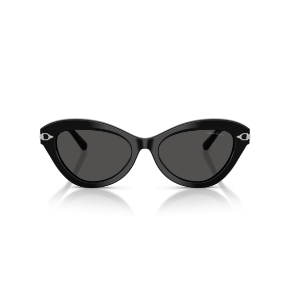 Ralph Lauren RL 8236U 500187 Güneş Gözlüğü