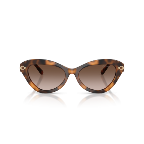 Ralph Lauren RL 8236U 608913 Güneş Gözlüğü