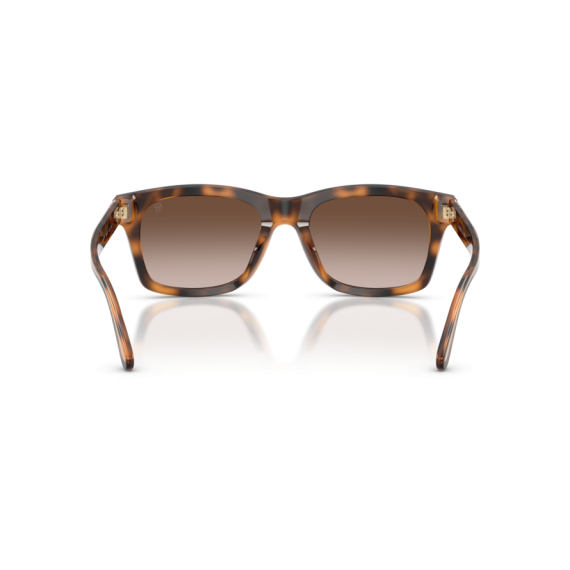 Ralph Lauren RL 8237U 608913 Güneş Gözlüğü