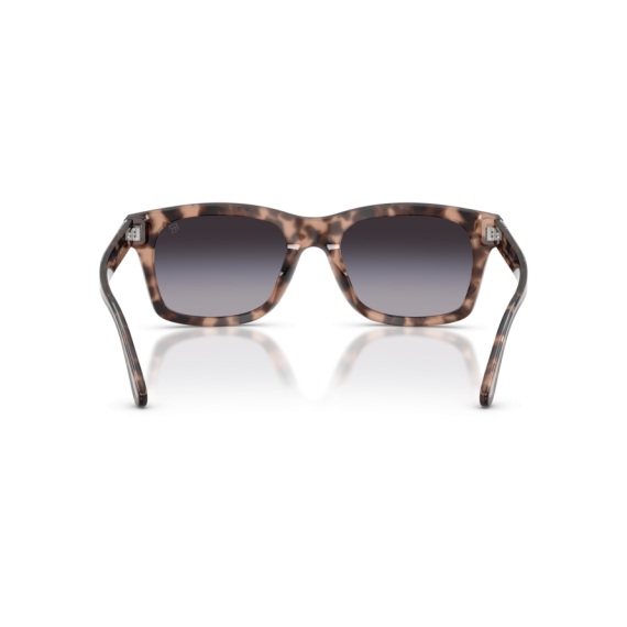 Ralph Lauren RL 8237U 63078G Güneş Gözlüğü