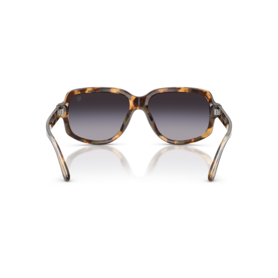 Ralph Lauren RL 8238U 61788G Güneş Gözlüğü