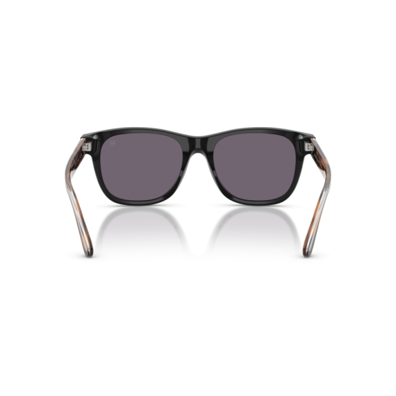 Ralph Lauren RL 8239U 50011A Güneş Gözlüğü