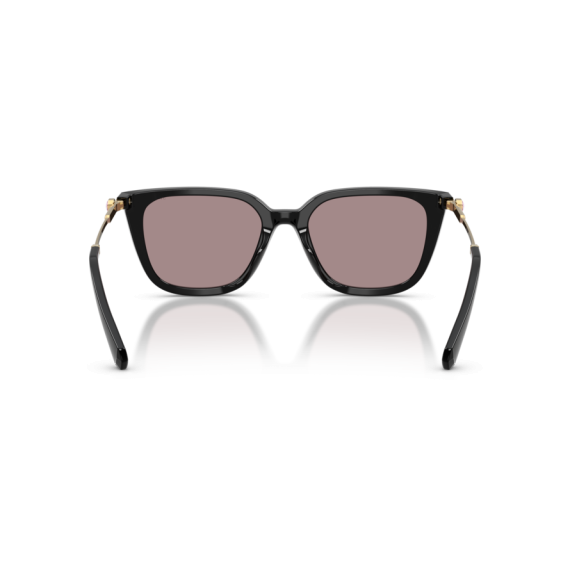 Swarovski SK 6054D 1001LA Güneş Gözlüğü
