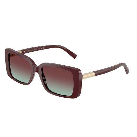 Tiffany TF 4249 8389V5 Güneş Gözlüğü