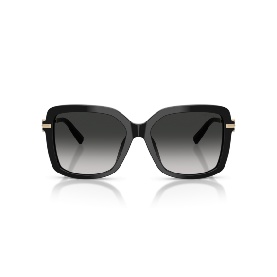 Tiffany TF 4252B 80013C Güneş Gözlüğü