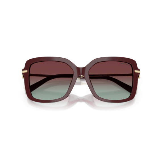 Tiffany TF 4252B 8389V5 Güneş Gözlüğü