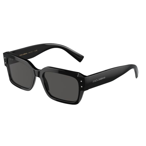 Dolce & Gabbana DG 4460 501/87 Güneş Gözlüğü