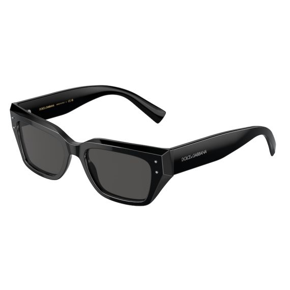 Dolce & Gabbana DG 4462 501/87 Güneş Gözlüğü