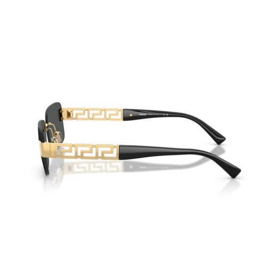 Versace VE 2298 100287 Güneş Gözlüğü