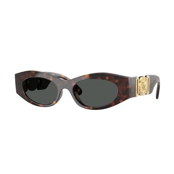 Versace VE 4480U 108/87 Güneş Gözlüğü