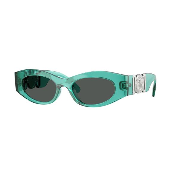 Versace VE 4480U 552987 Güneş Gözlüğü