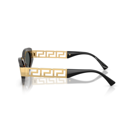 Versace VE 4501 552887 Güneş Gözlüğü