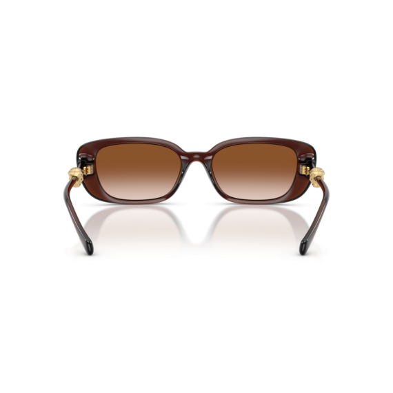 Versace VE 4504D 533213 Güneş Gözlüğü