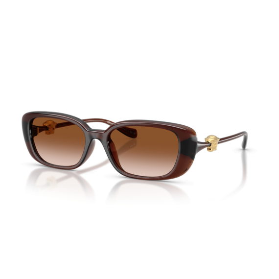 Versace VE 4504D 533213 Güneş Gözlüğü