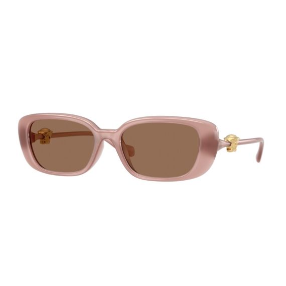Versace VE 4504D 553573 Güneş Gözlüğü