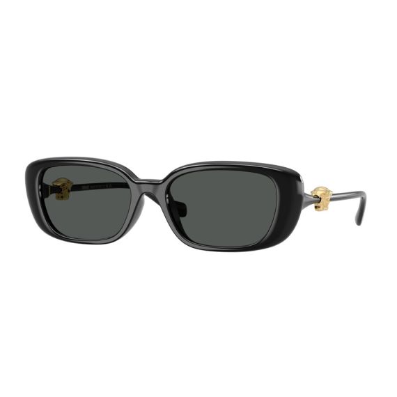 Versace VE 4504D GB1/87 Güneş Gözlüğü