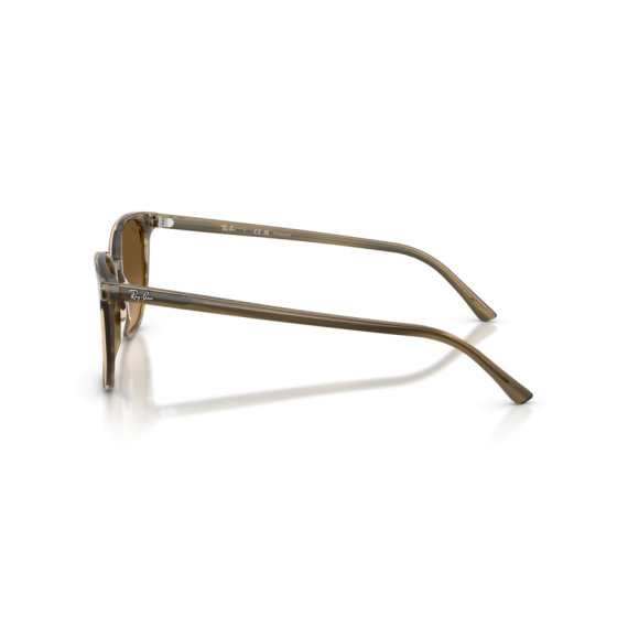 Ray-Ban RB 2197 1439M2 Güneş Gözlüğü
