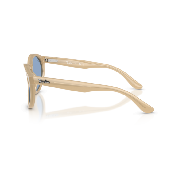 Ray-Ban RB R0505S 678072 Güneş Gözlüğü