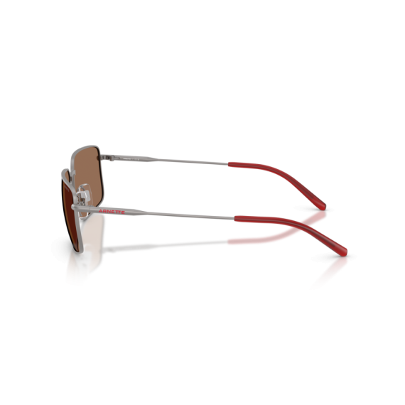 Arnette AN 3095 745/73 Güneş Gözlüğü